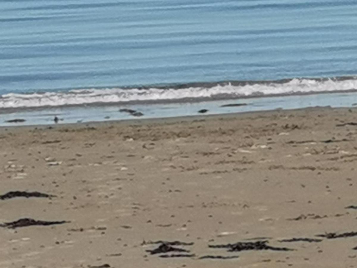 Snowdonia Sunbeach Holiday Sea And Mountain View Llwyngwril Εξωτερικό φωτογραφία